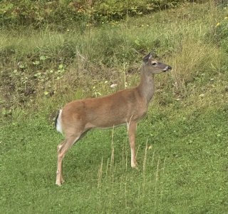 IMG_5858.jpeg