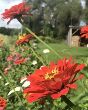 IMG_0538.jpeg