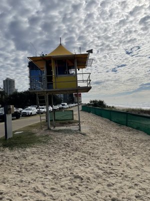 IMG_7331.jpeg