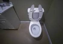 loo seat.jpg