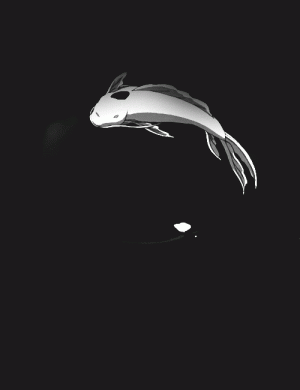 tumblr_meq6z07Uj61rwbil0o1_500.gif.gif