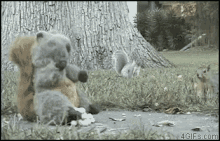 squirrelswithstuffedanimal.gif