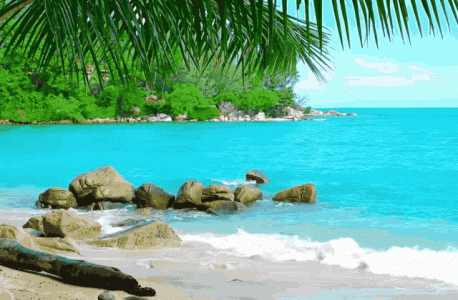 beach-relaxing.gif