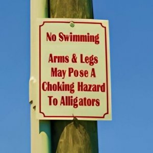 no swimming.jpg
