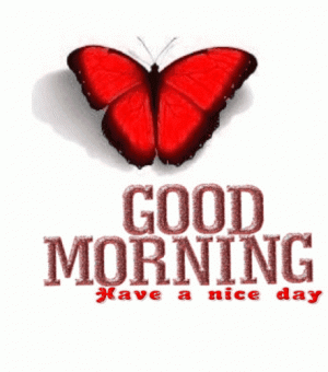 7271f9bcb0d5016e593f23fa9117d44b[1].gif