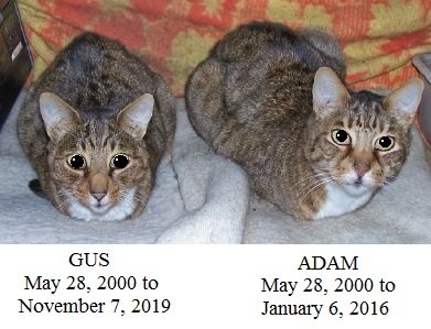 Gus & Adam1b.jpg