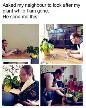 458931667_1072654764418366_9170739173405853983_n.jpg