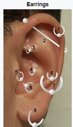 EARPIER.JPG