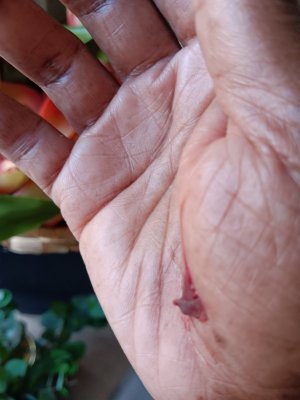 20240910_111141.jpg 20240910_111141.jpg