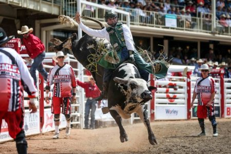 CalgaryStampede2019_CovyMooreBulk-553__4___1_.jpg