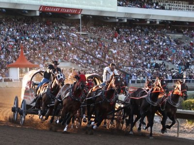 cal20110716stampede46662.jpg