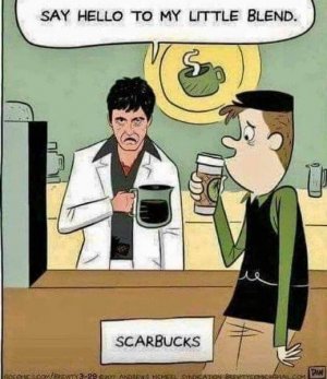 scarbucks.jpg