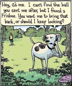 foundfrisbee.jpg