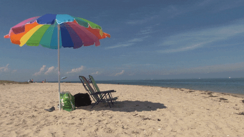 at the beach.gif