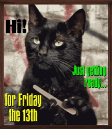 friday-13th-catnails.gif