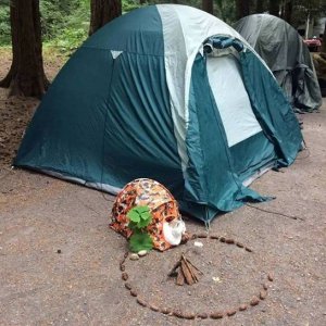 catcamping.jpg catcamping.jpg