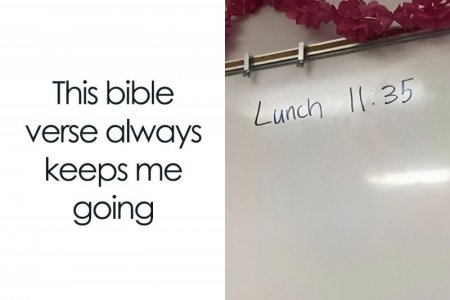 food-cooking-memes-boysthatcancook-cover_800.jpg