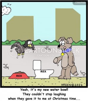 newwaterbowl.jpg