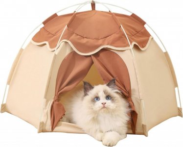 cat-tent.jpg