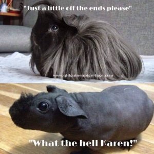 IMG_8800.jpeg