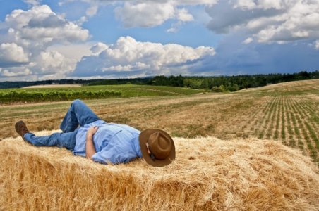 hit the hay6.jpg