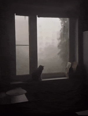 tumblr_f7929d930ad48789b2a37833978bffb4_b36a6a8c_500.gif
