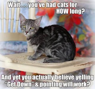 howlong.jpg