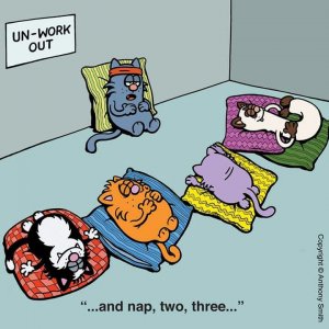 unworkout.jpg