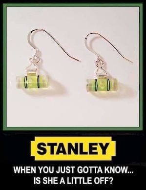 Stanley earings.jpeg