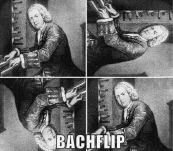 IMG_8822.jpeg