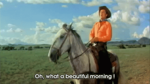 mornincowboy.gif