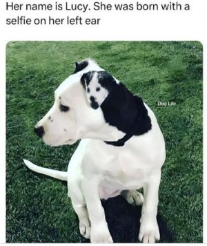 dghjtyhjh.JPG