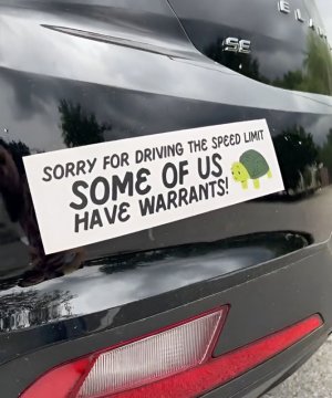 sorry4driving.jpg