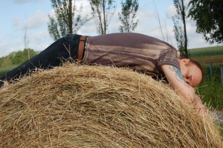 hit the hay.jpeg