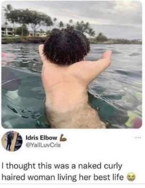 dnfgjgdhj.JPG