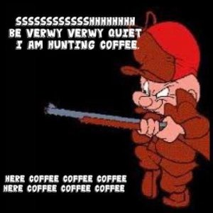 IMG_8841.jpeg