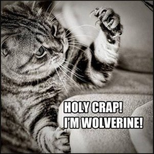 20-Very-Funny-Animal-Memes-6.jpg