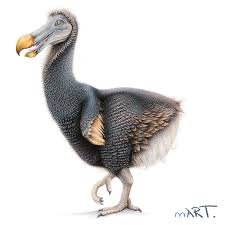 Decoding the Dodo – Martin Aveling