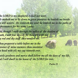 Psalm 23.jpg