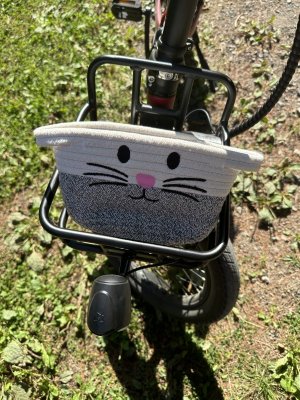 IMG_5964.jpeg