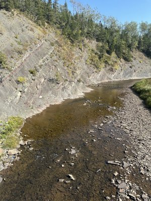 IMG_5962.jpeg