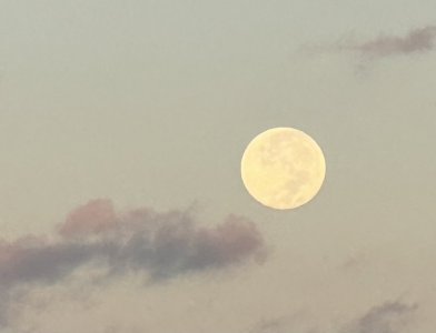 IMG_3007.jpeg