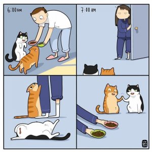 foolthemintofeedingmore.jpg