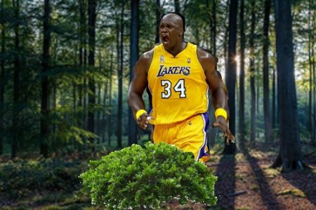 Shaq.jpg