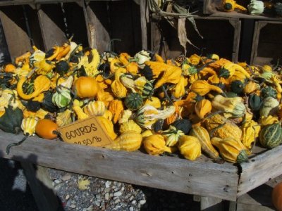 farm7.jpg