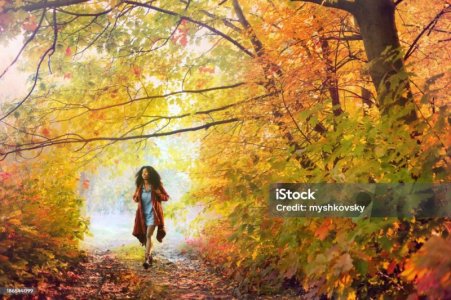 istockphoto-186544099-1024x1024.jpg