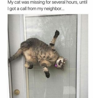 0.jpg