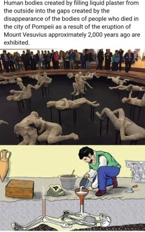 1000002726.jpg