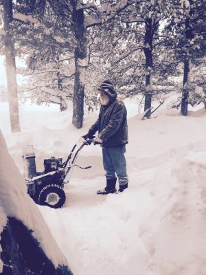 FlfSaPA.jpg FlfSaPA.jpg