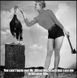 birds.jpg